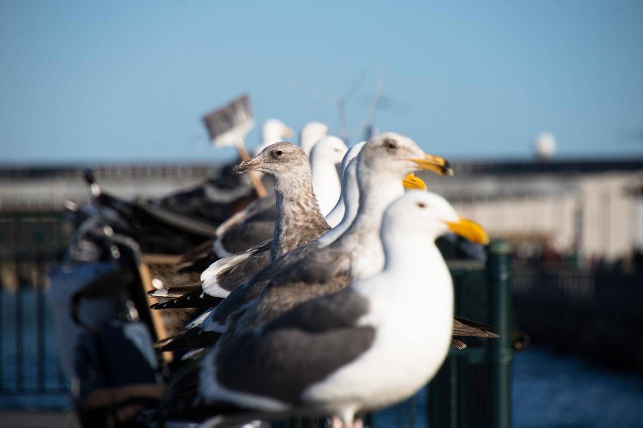 The Greenwich Rooms - Burger & Bird Bar & Restaurant Peacehaven Exterior foto
